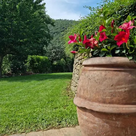 Le Ginestre Βίλα Κορτόνα