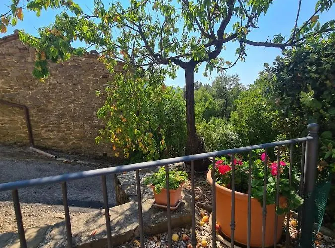 Le Ginestre