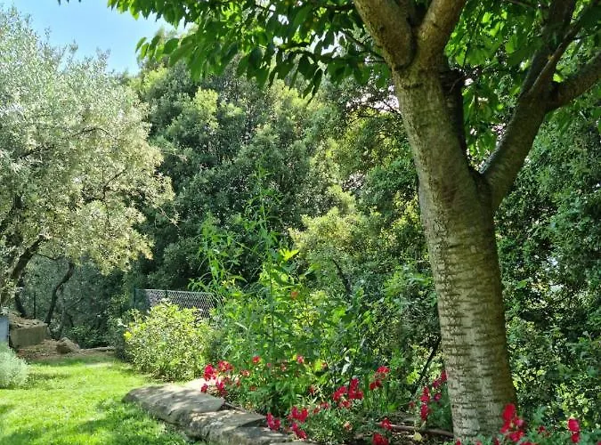Le Ginestre *