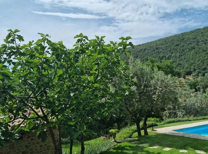Le Ginestre