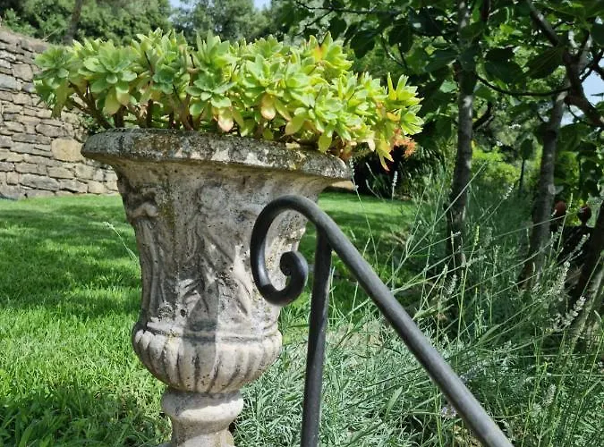 Le Ginestre